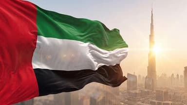 United Arab Emirates flag